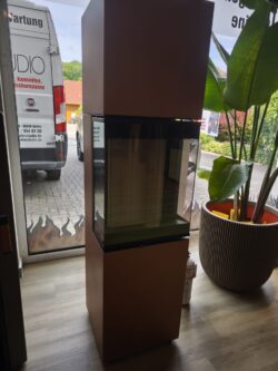Spartherm Kaminofen Modell Trico S